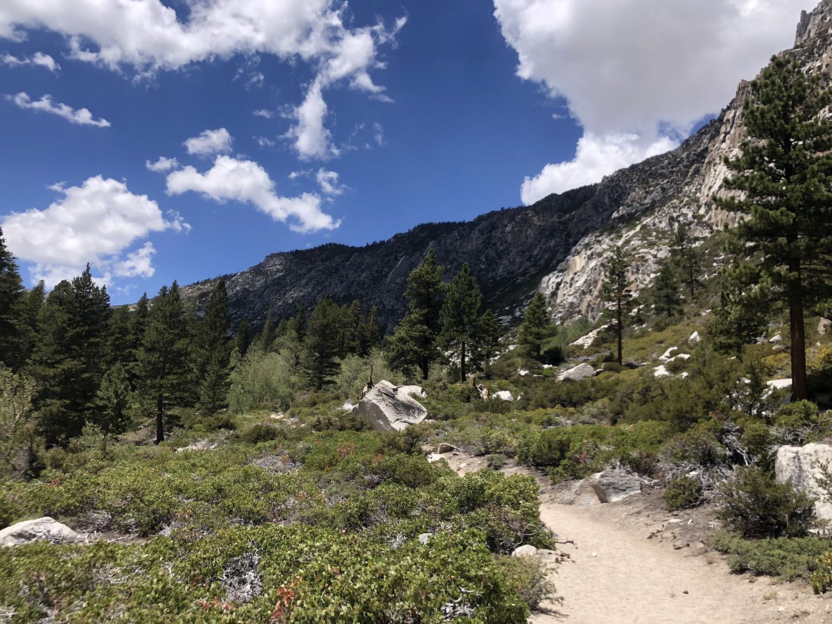 MonadoShyft's tweet photo. Man this 11 mile hike killed me. It was  pretty brutal since it was taxing and I’m not used to it. Body felt like it was gonna give up and breakdown but still did it in the end. Done now but hey here’s some pics! https://t.co/mKrMBeytww