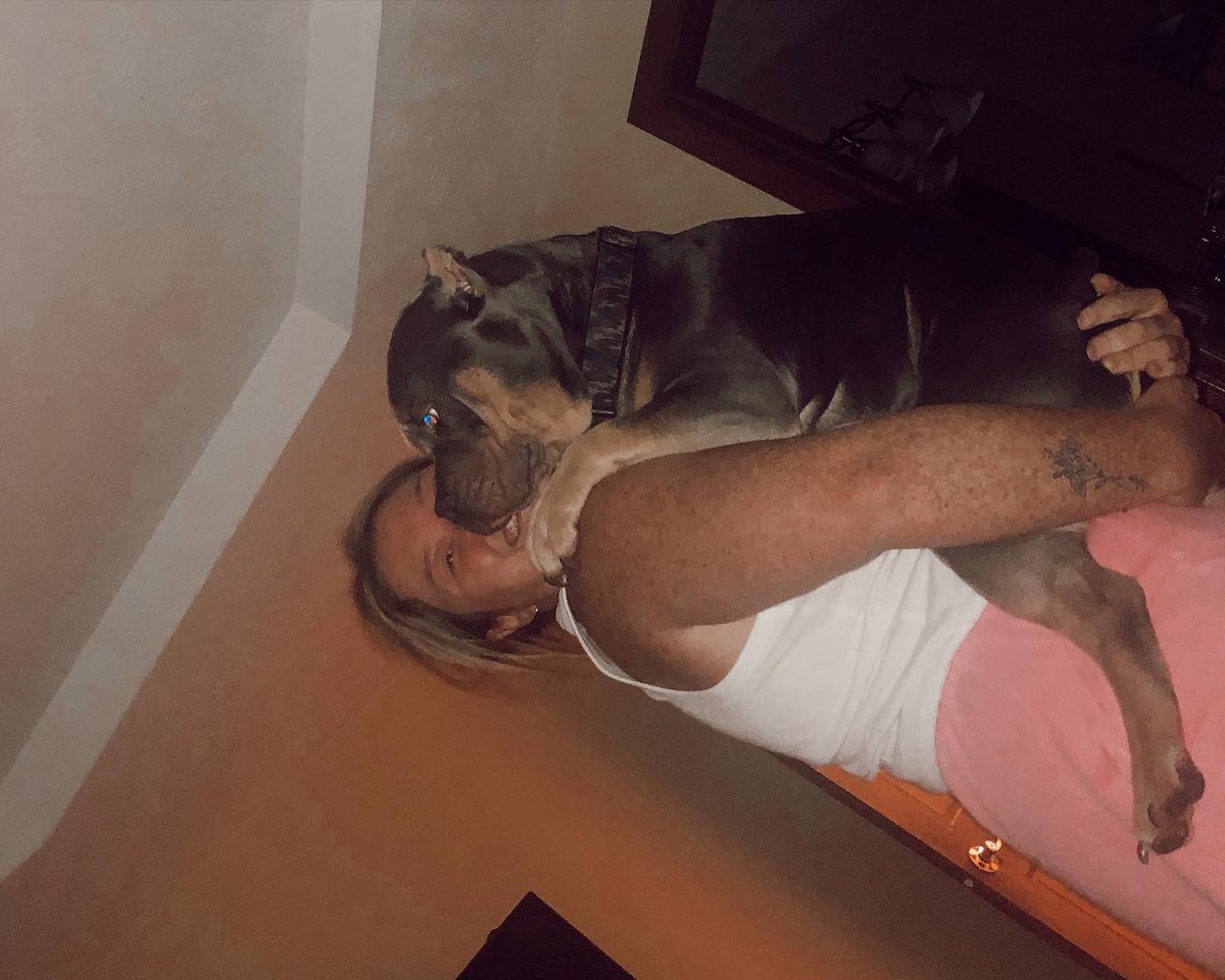 risharenee05's tweet image. Shocker, another post ab Rex