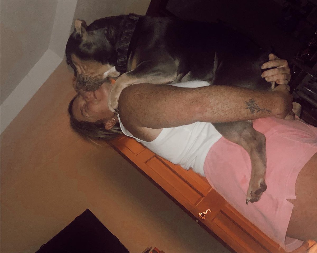 risharenee05's tweet image. Shocker, another post ab Rex