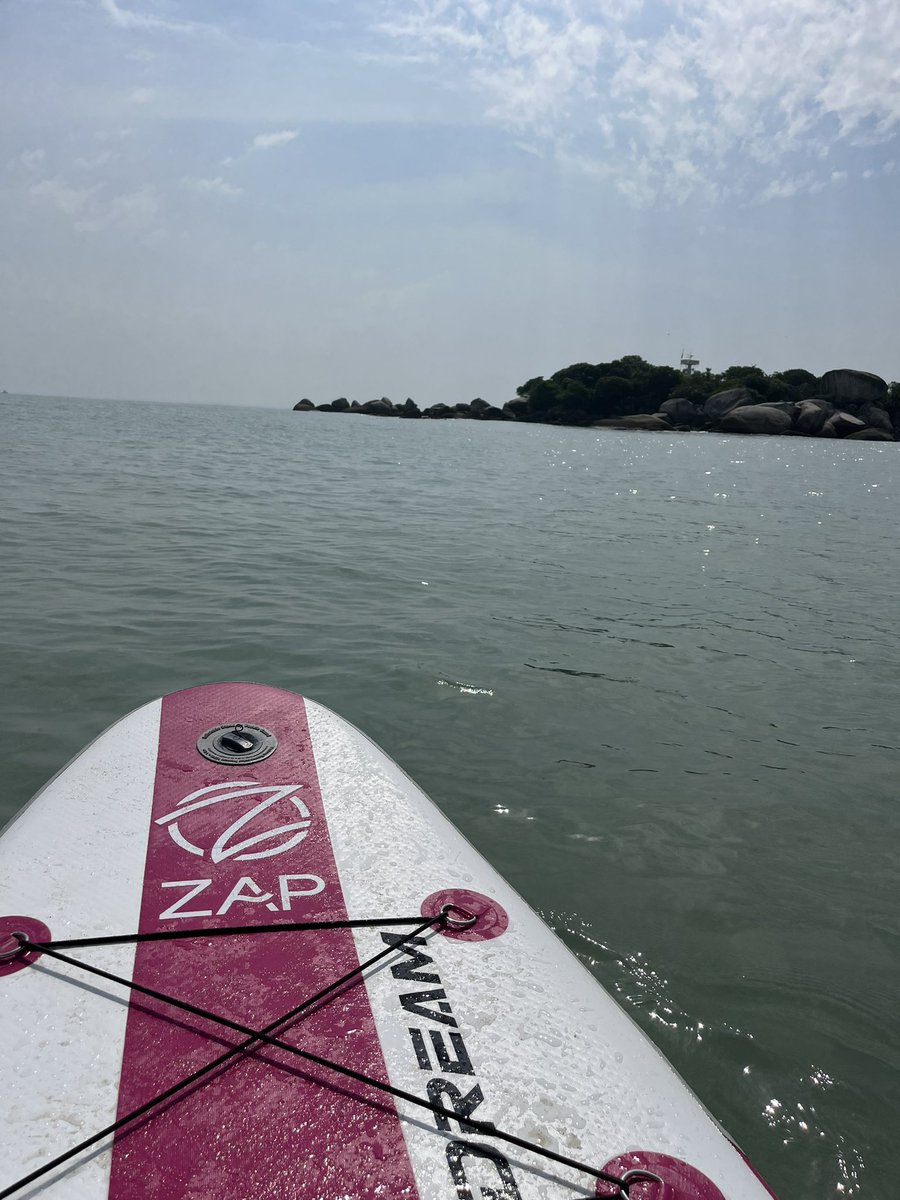 Liz Cloke tweet media