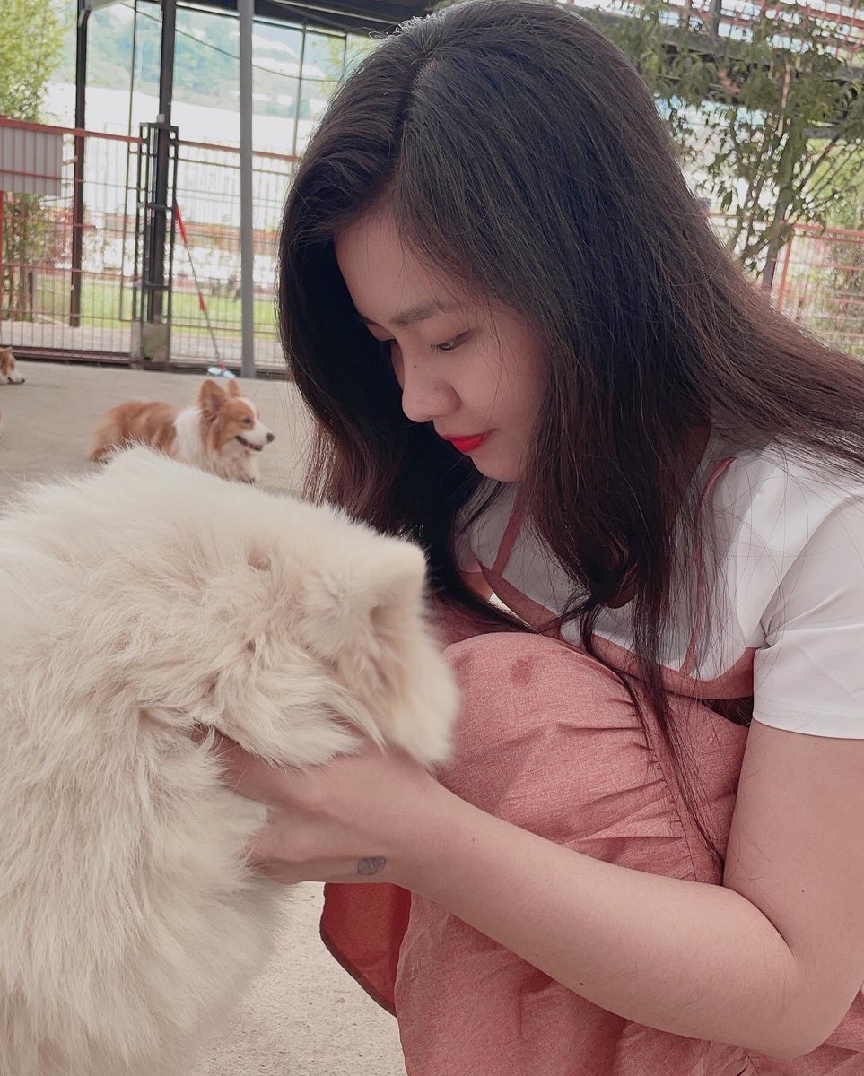 Evil328870's tweet photo. 🍀🐩
#oneday #vibes #dog #doglover #sammoyed #fluffy #soft #hug #cute #farm #dalat #dalattrip #trip https://t.co/VXNABzmTM4