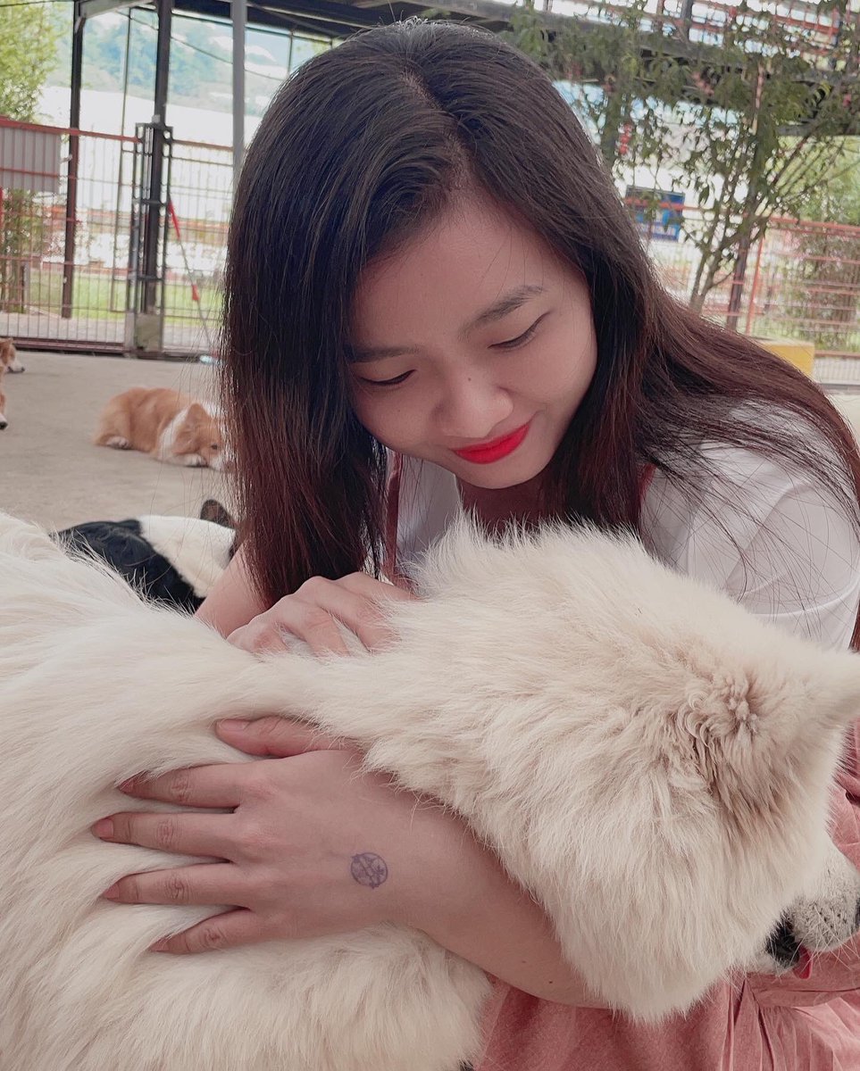 Evil328870's tweet photo. 🍀🐩
#oneday #vibes #dog #doglover #sammoyed #fluffy #soft #hug #cute #farm #dalat #dalattrip #trip https://t.co/VXNABzmTM4