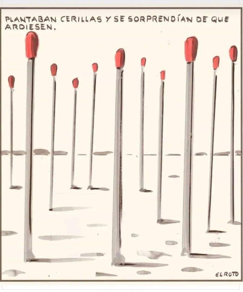 GALICIA 2022
Substiuímos as árbores autóctonas (que non arden) por #Eucaliptos e #Piñeiros 

Agora laiámonos polos #Incendios (e cústannos cartos públicos)