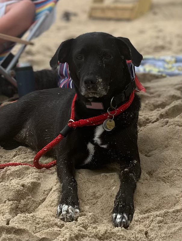 Mrs. Mitchell tweet media