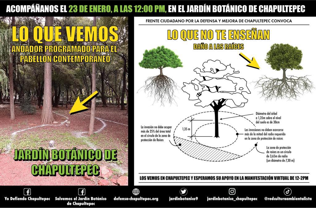 Mañana domingo de 12 a 2pm te esperamos para conocer y defender el #JardinBotanico y #Orquidiario de #BosqueDeChapultepec

links de Google Maps:

Jardín Botánico:
maps.app.goo.gl/9WYXDRMmcYPeYL…

Orquidiario:
maps.app.goo.gl/QY36zfp1H3q513…

#YoDefiendoChapultepec #YoDefiendoElJardinBotanico
