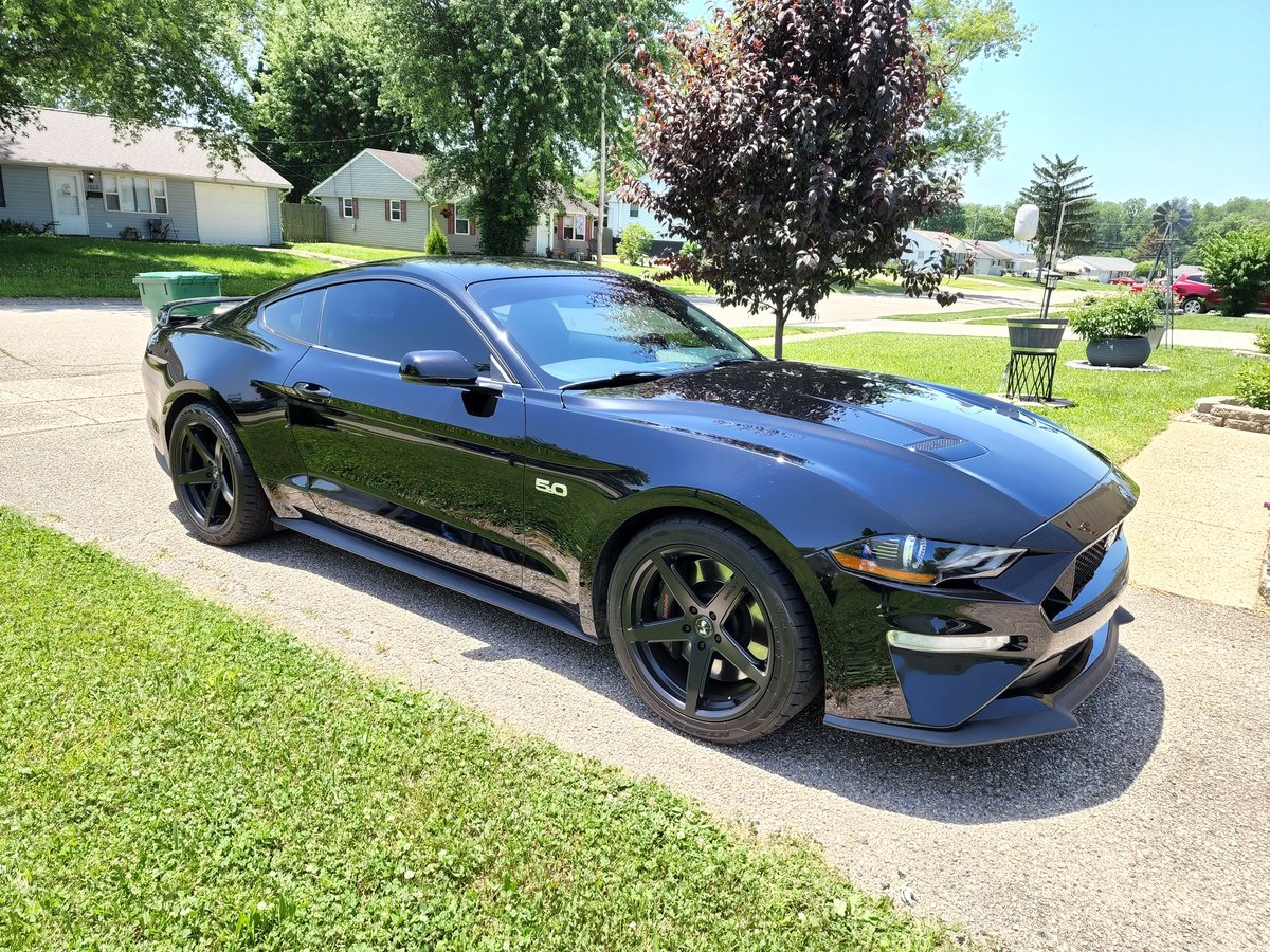Im_a_Trucker's tweet photo. My 790 #horsepower (at the wheels) #Mustang GT 5.0 with a phase 2 #Roush #supercharger in triple #black. https://t.co/hnaoxUMSpW