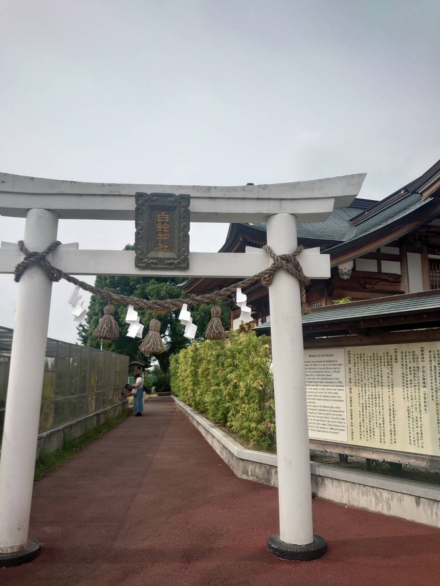 珍品稀少 岩国白蛇神社 一匹まるごと桐箱入り 金運上昇 Www Vitaplus Com