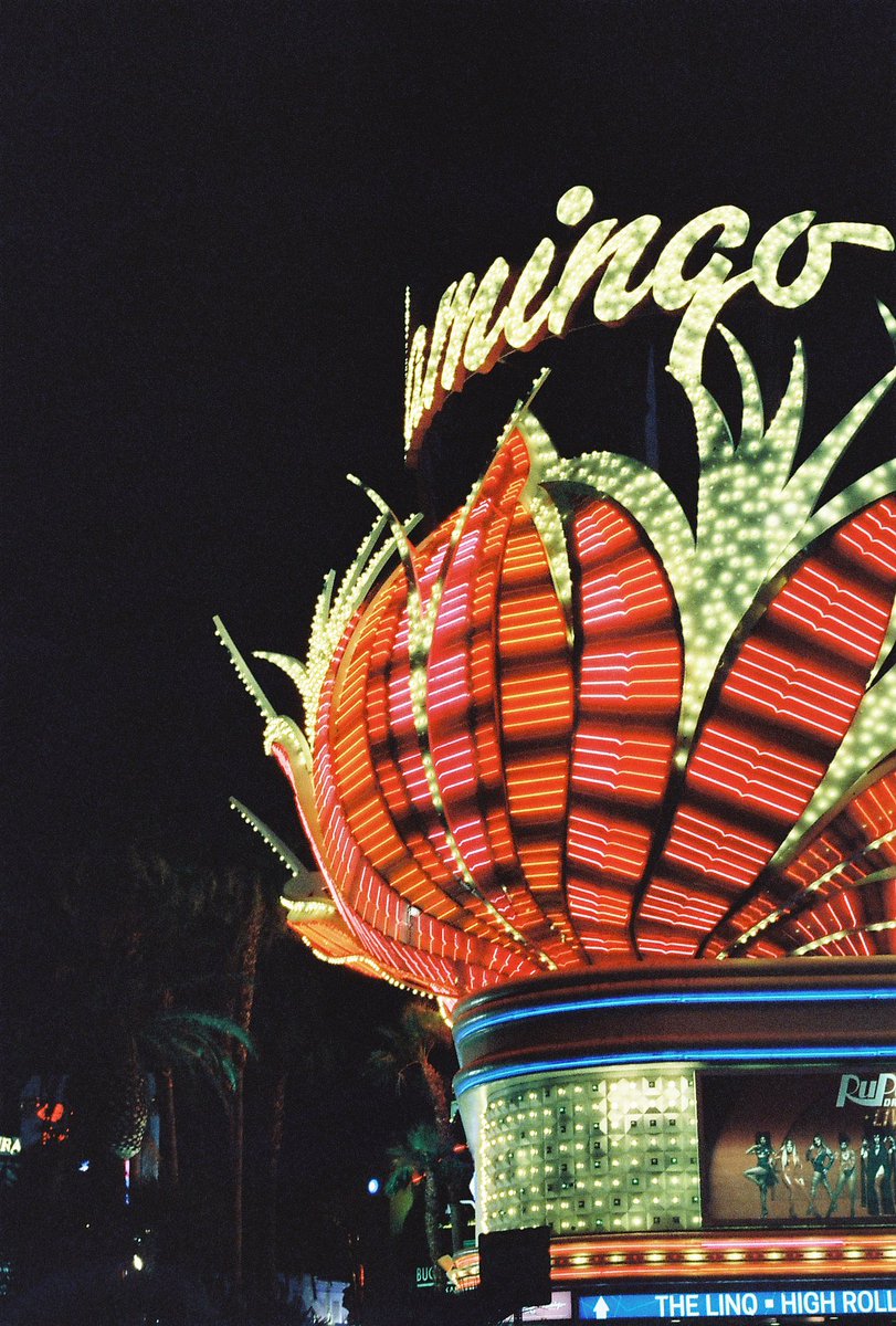 Anybody else frantically check their digital uploads 100 times a day when expecting a roll of film, or are you normal? #filmphotography #LasVegas #cinestill800t #travelphotography