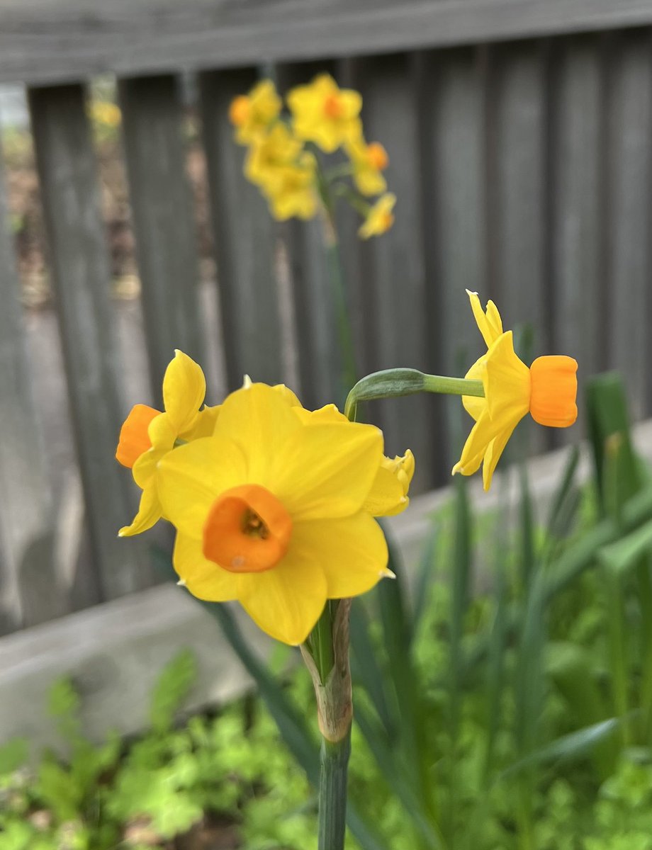 Victor Perton tweet media