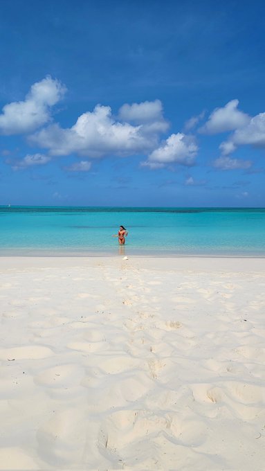 Bahamas photo dump 🐬💦 https://t.co/59auQviO4u