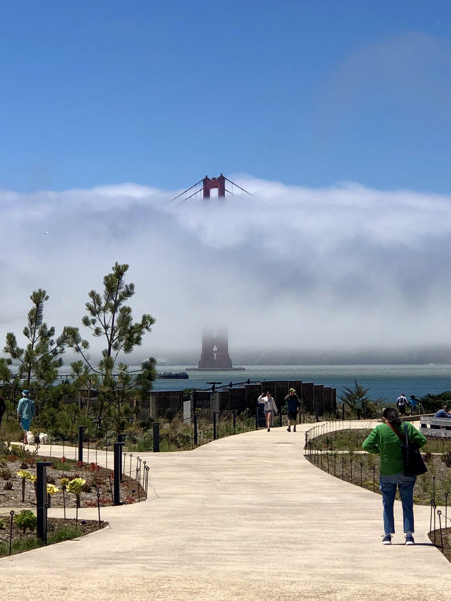 View from the new Presidio Tunnel Top Park, made even better with some love from @KarlTheFog 🌁👀♥️ @presidiosf @GGBridge @parks4all @onlyinsf @VisitCA