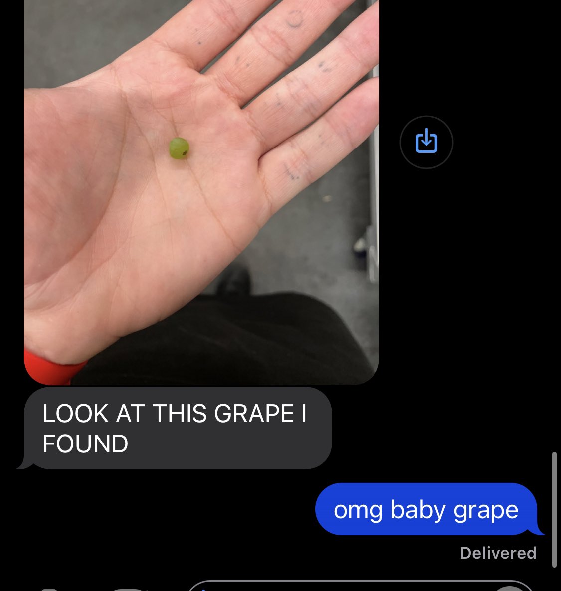 kaylabud on Twitter "baby grape https //t.co/9QVx6GkWCO" / Twitter