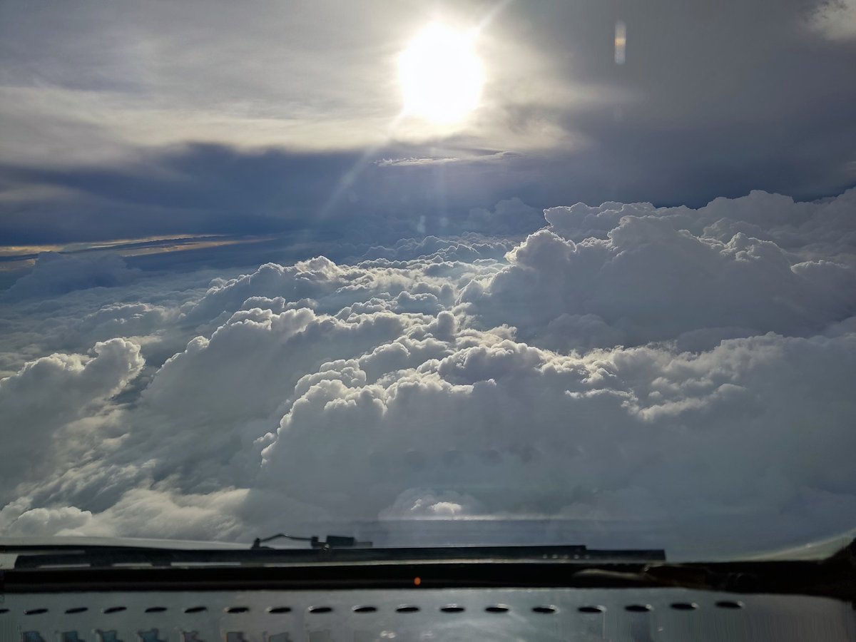 CapLaloVargas's tweet photo. La foto que tomé hace ratito saliendo de MEX 😏😏😏😏😏 #OnlyFlights https://t.co/9vH4k70NLN