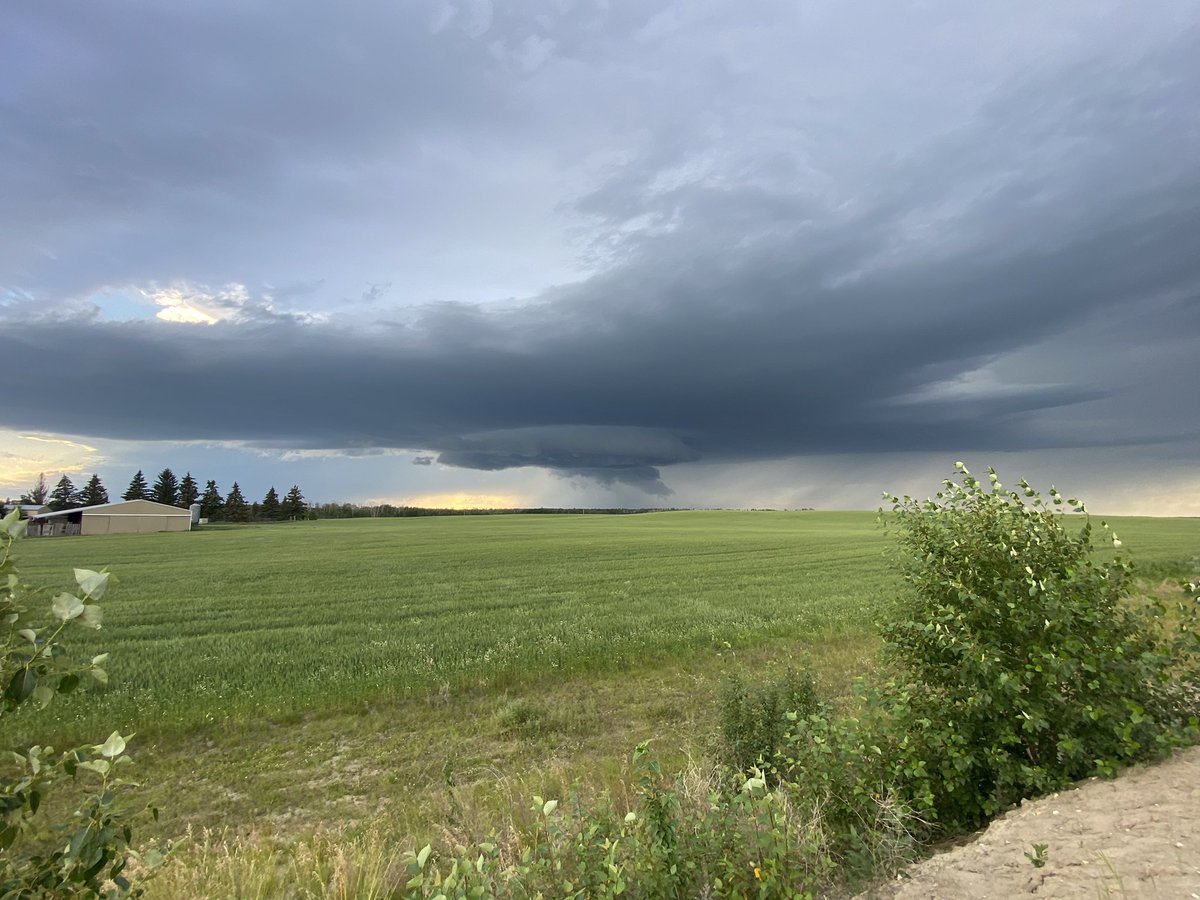 Must have been a good #fungicide year...storms are wiping crops out.
