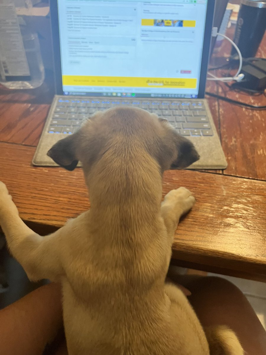 Homework955's tweet image. Dm for homework help. We handle assignments from all subjects including #summerclasses and #Exams