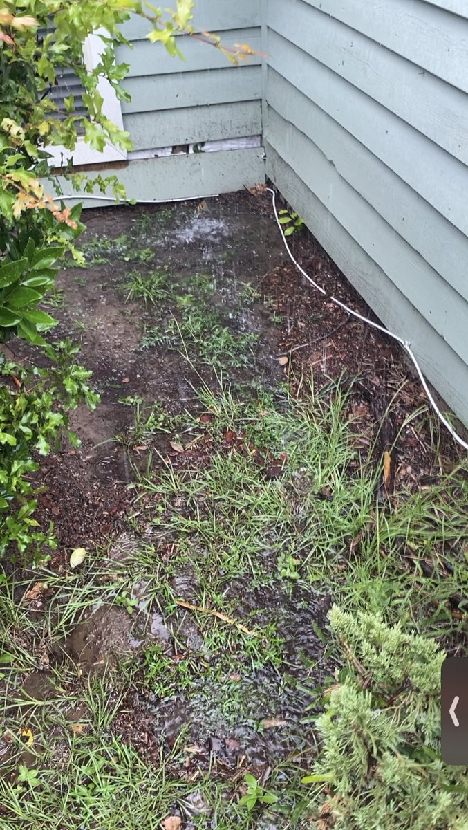 stokesmichael22's tweet photo. Being A Home Owner Means You Get Excited About The Smallest Things Like New Grass 🏠🌳🪷🪷 #HomeOwnerShip #EachOneTeachOne #DrainSystem #LivingLearning #2ndHomeProject https://t.co/eBx7BAuBJA
