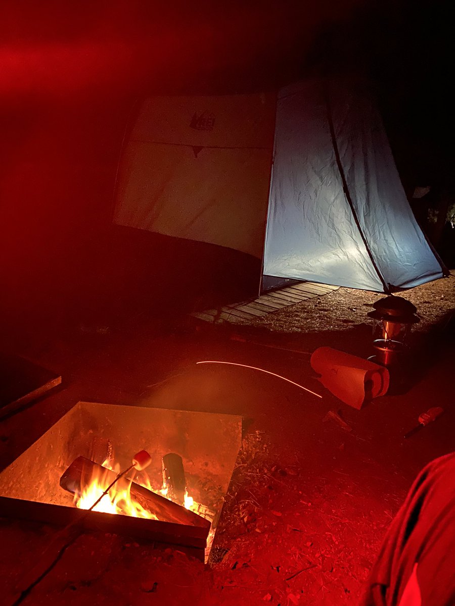 Alex Hubbard tweet media