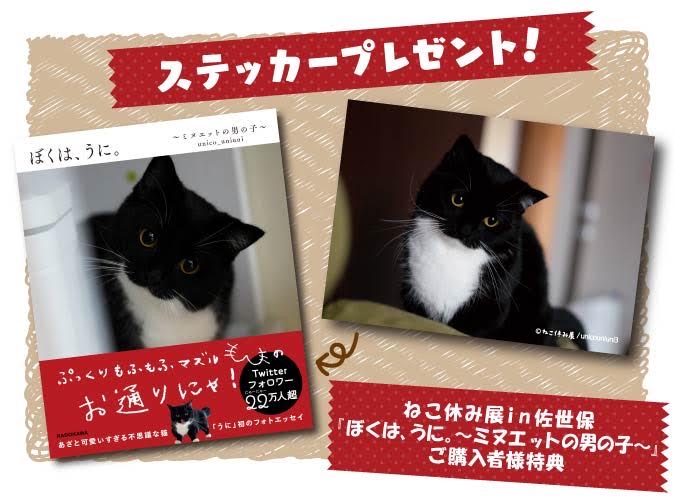 Follow うに ねこ休み展 S Unicouniuni3 Latest Tweets Twitter Follow うに ねこ休み展 S Unicouniuni3 Latest Tweets Twitter