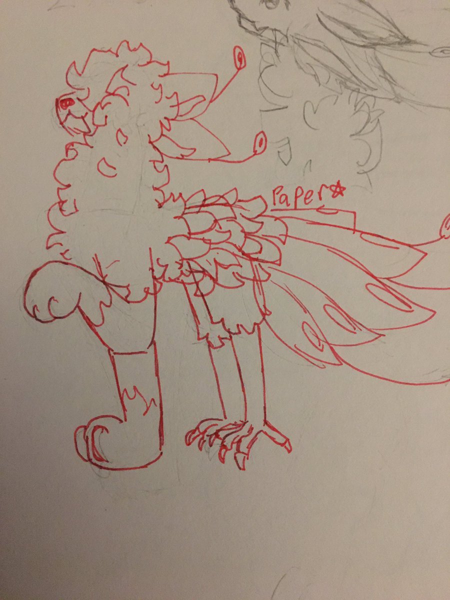 paper_ow's tweet photo. Hehe funny floofy creature! https://t.co/j8m9fFM4vN