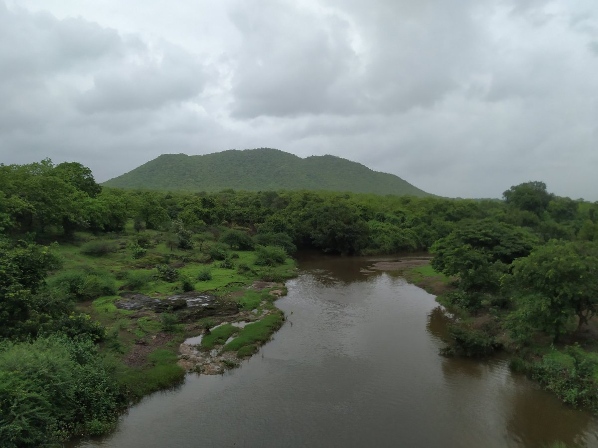 Dhaval Ghodasara tweet media