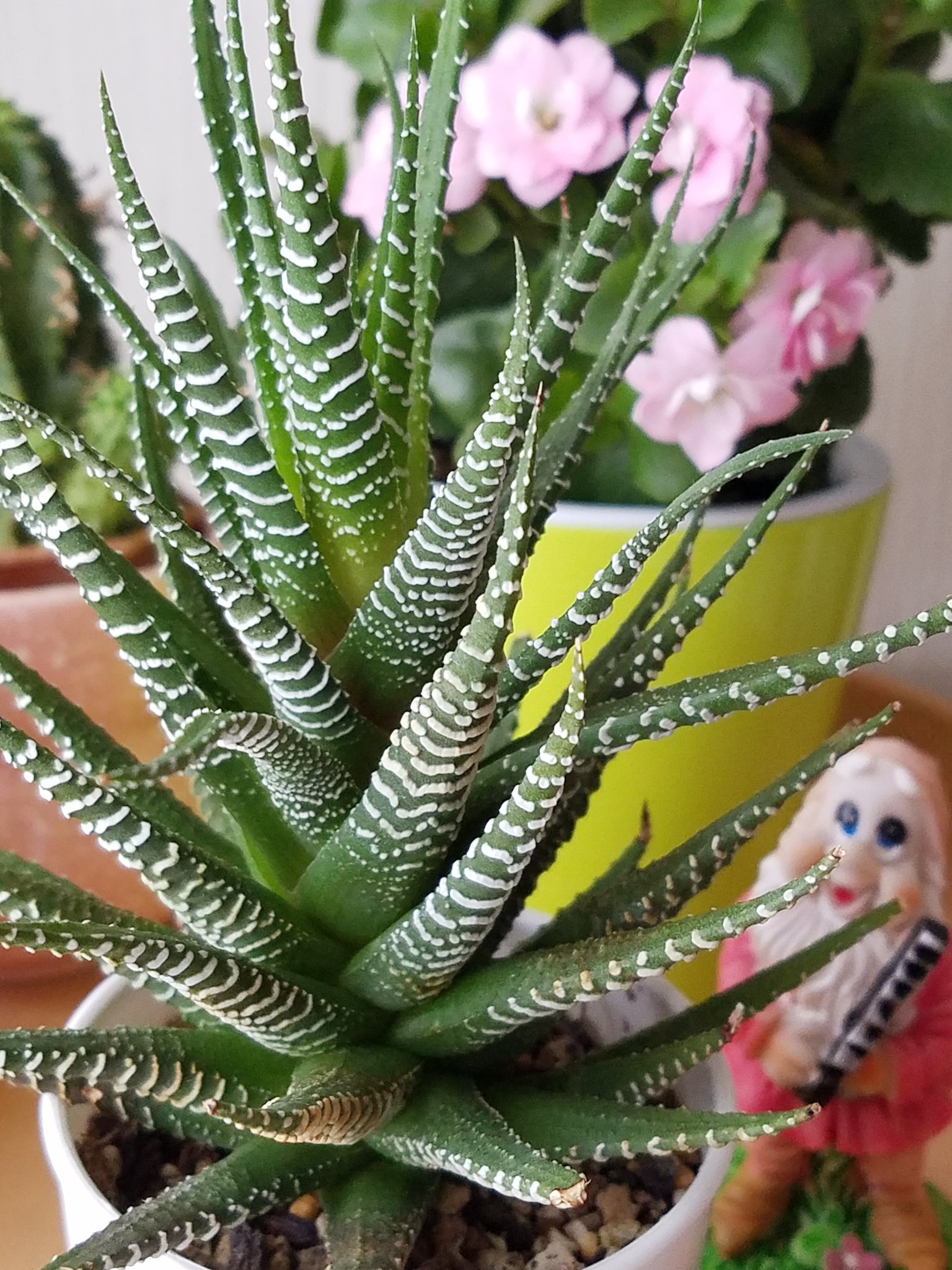 十二の巻 Twitter Search Twitter