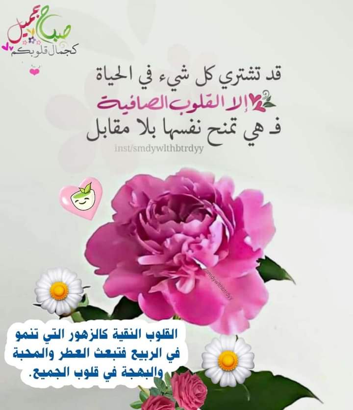 اسير الصمت (@moonm399) on Twitter photo 