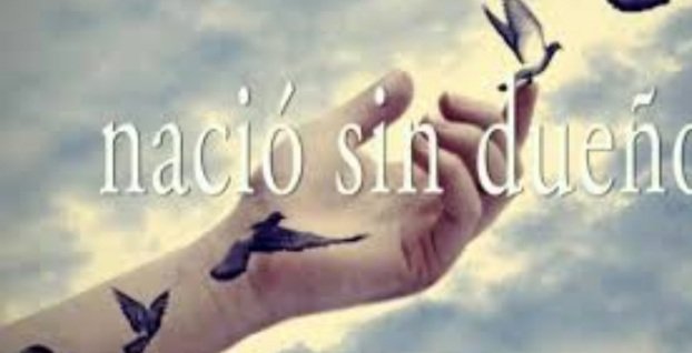 LidiceCorzo's tweet photo. 🇨🇺🇨🇺🇨🇺🕊🕊🕊
...La libertad
Nació sin dueño
Y yo quién soy para colmarle cada sueño
Y yo quién soy para colmarle cada sueño...

#LaPazEsElCamino 
#CubaPorLaPaz 
#amoryhumanismo
#poniendecorazon ♥️ https://t.co/0AUrU2VhJg