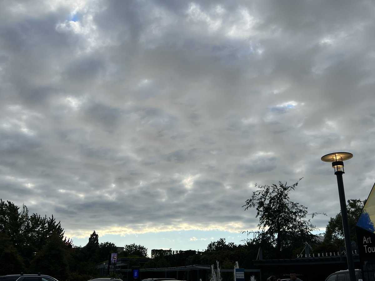 docktor's tweet photo. Hello Seattle…overcast as you are…but still beautiful.  Shining great light on the Blk/Wht dunks. #SNEAKERS #seattle #spaceneedle https://t.co/Np8iFs3Uqg