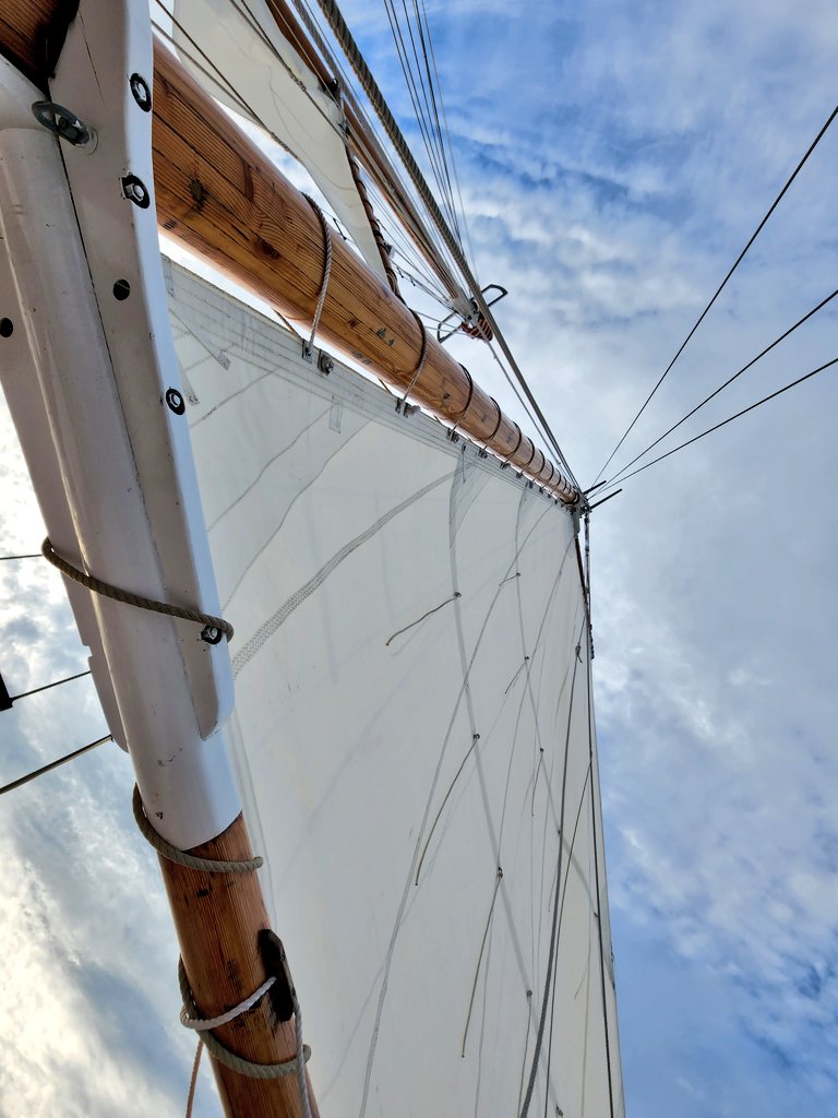 kim.lucas tweet media