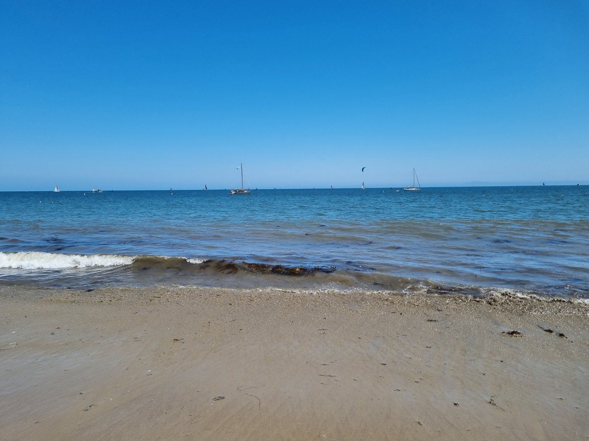 Eoin Price tweet media