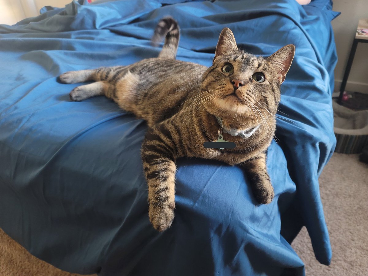 "Mombe and Dade... got engaged?! Wuuut?!"
-Ares