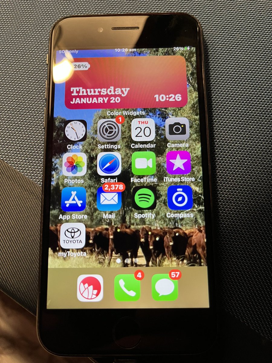 Deb Charlton tweet media