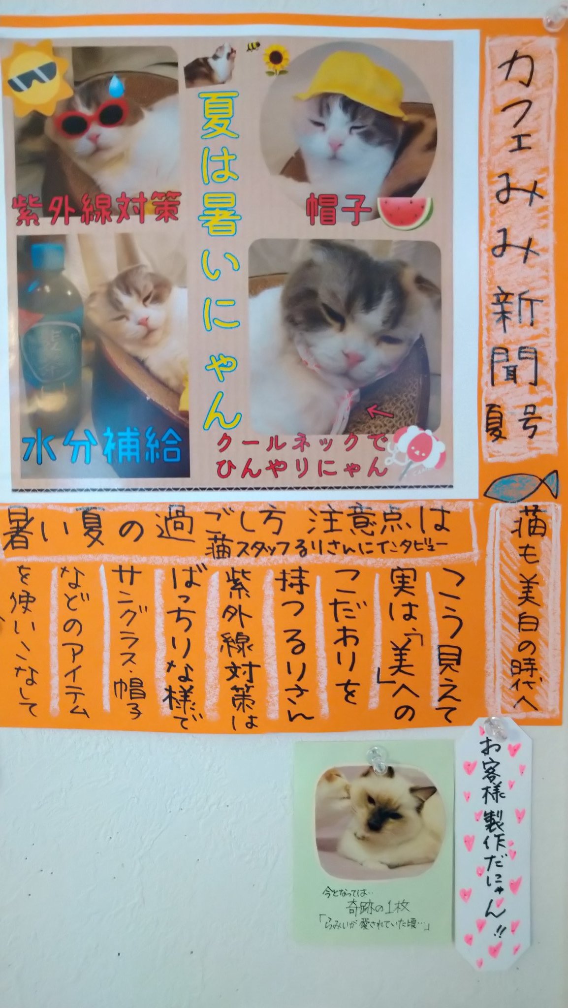 猫三昧様宛て Insights Scalablehealth Com