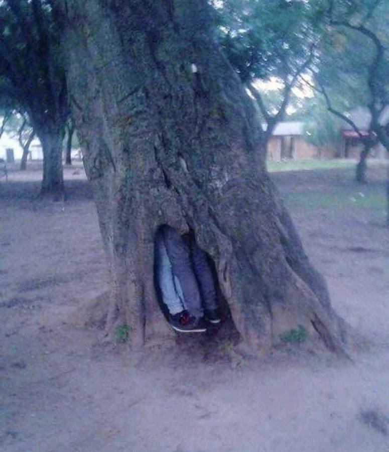 quien para