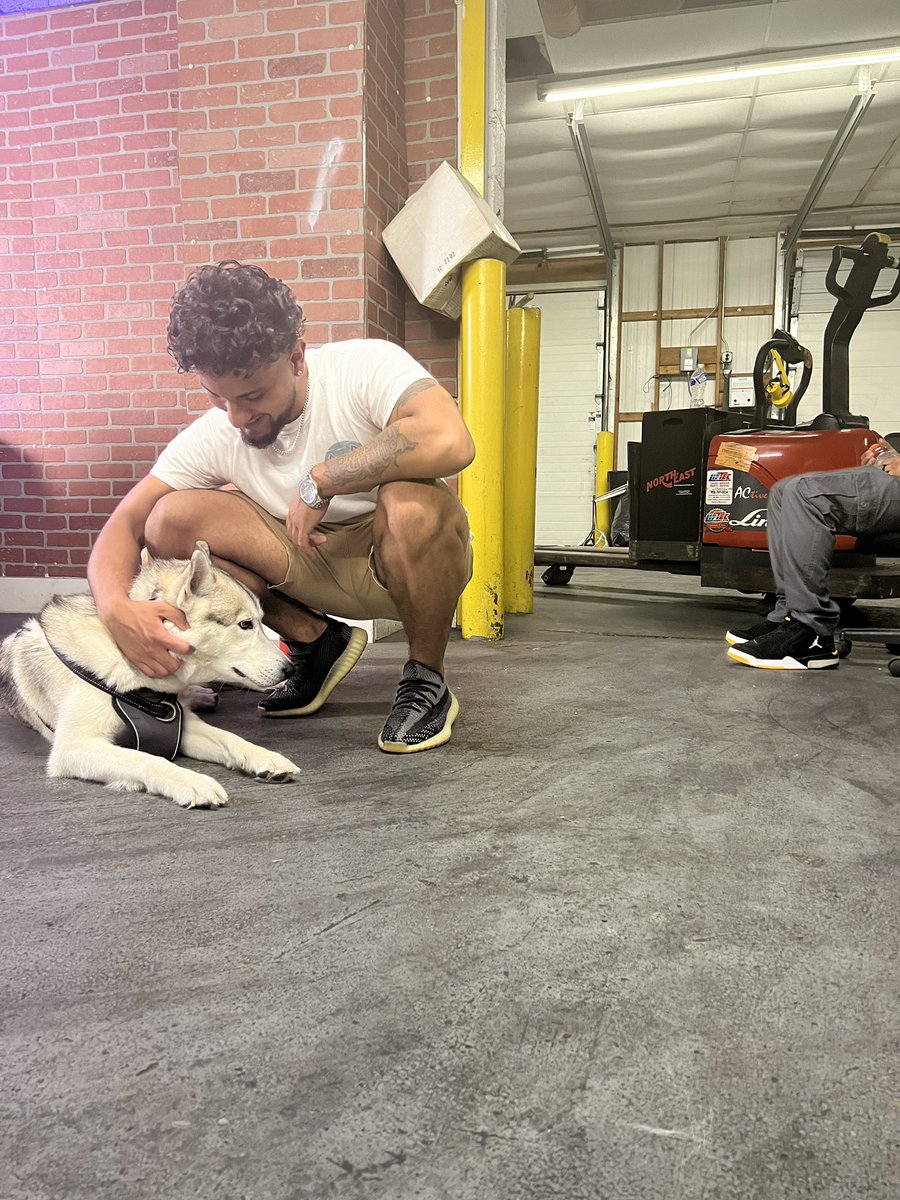 antdavideo's tweet image. @KingOfHartss can i have raiden for a week #vvolvesonly