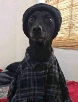 Ah