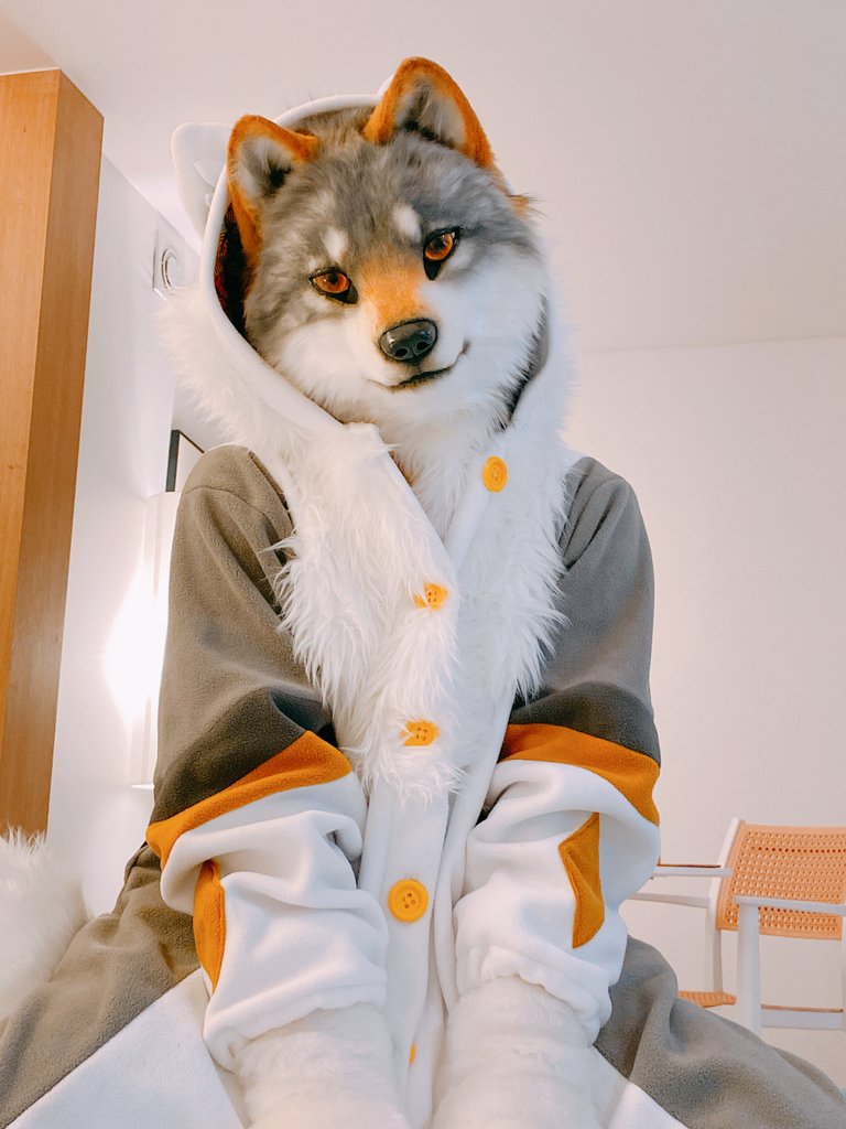jeongambro's tweet photo. Are you up now?
#furry #Fursuit https://t.co/DInZ6Ve8EU