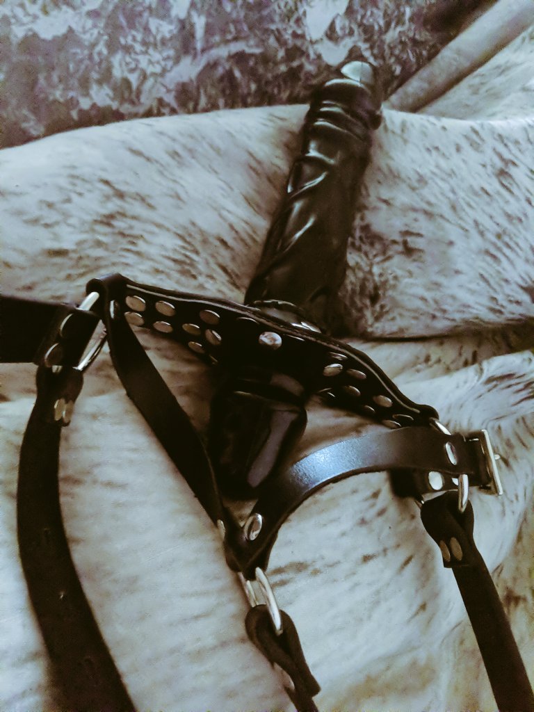 museofthewolf's tweet photo. It's been a while but guess who's back with new toys... My sub presented this to me on his knees what a good puppy https://t.co/ZlRdfH5VWJ