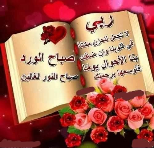 abed597's tweet photo. @lailaRif3 https://t.co/xen7WhgMvK
