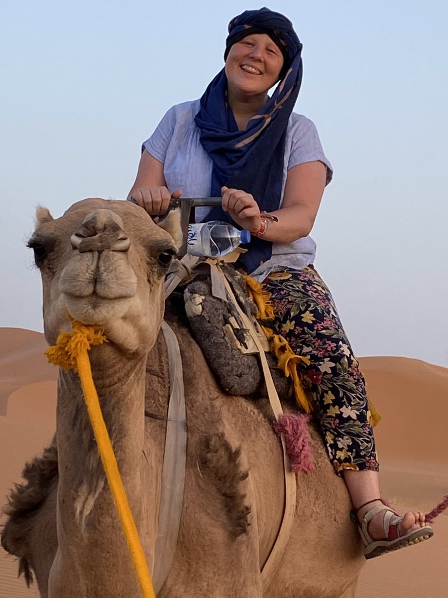 RLL262's tweet image. 