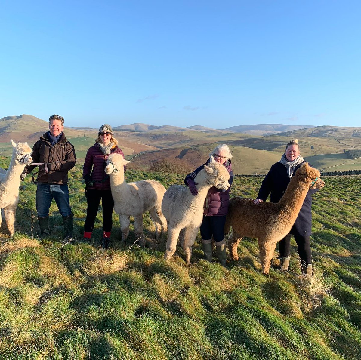 SmallholdersUK's tweet photo. The simplicity and uniqueness of our setting, spectacular views, magical atmosphere and friendliness of both our team and animals make it a really special experience. #destinationofchoice https://t.co/KOqYIyRbSB