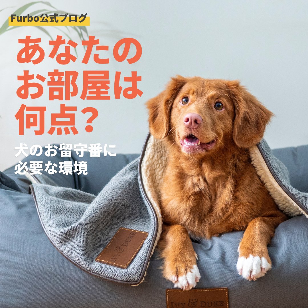 Furboファーボドッグカメラ 公式 Furbojp Dog Twitter