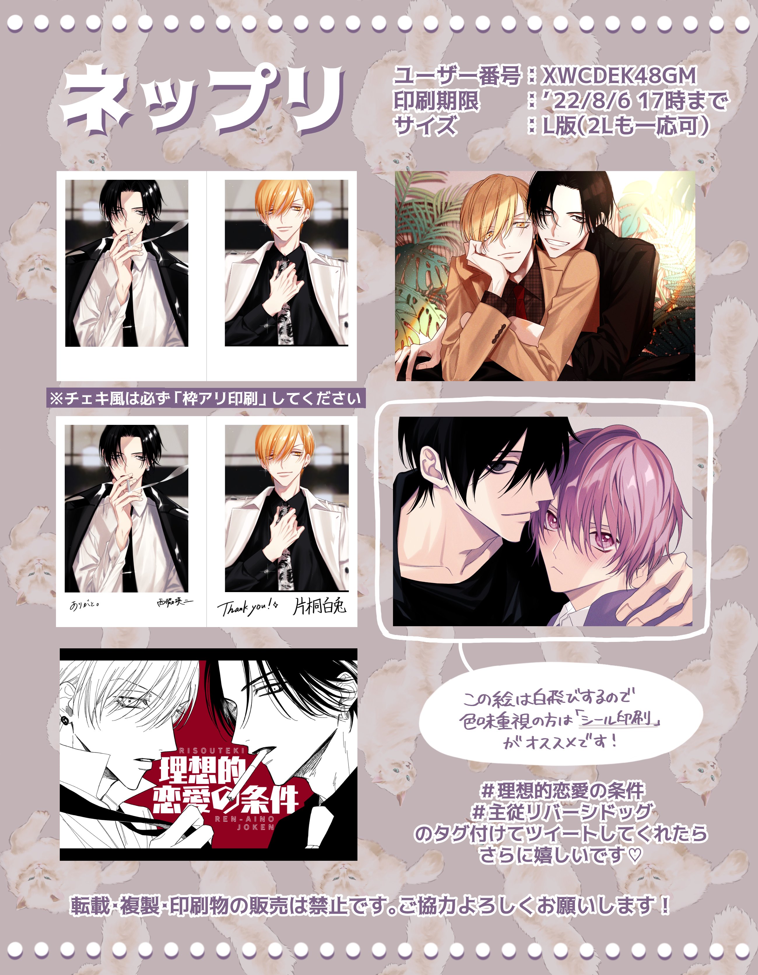 bl ネップリ