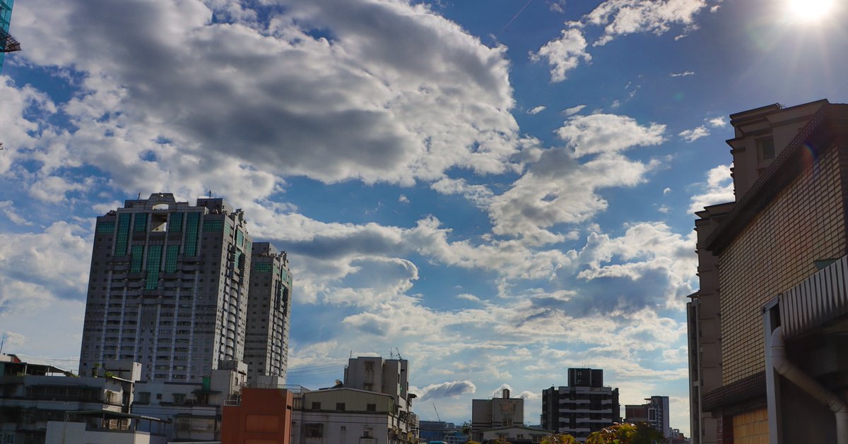 北極星🌟&風鈴草🍀 葉紫 tweet media