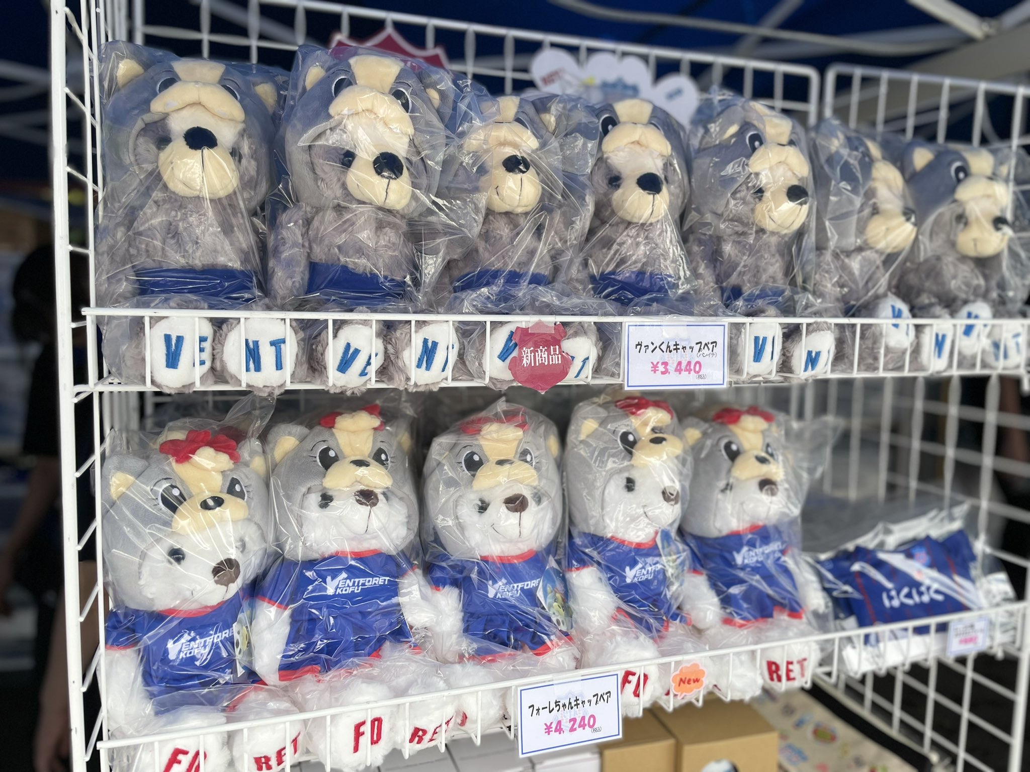 ご当地ベア ヴァンフォーレ甲府限定 ヴァンくん＆フォーレちゃん