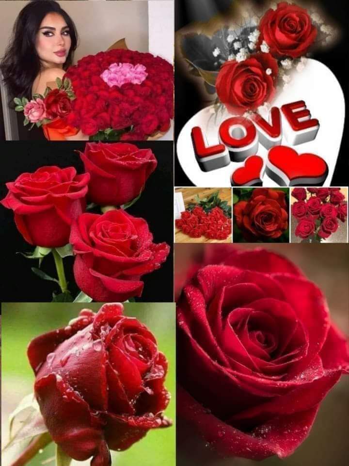 Adel54905305's tweet photo. @Foufou579 https://t.co/D5IB9lhJIz