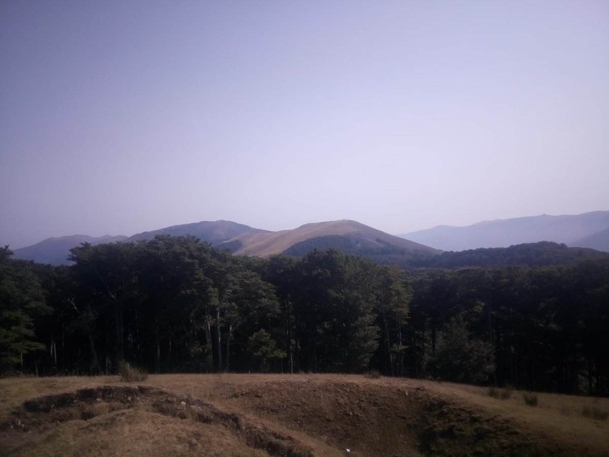 Ya está aquí la XIII campaña de estudio de la migración postnupcial de las aves en el collado de Lindus, Auritz-Burguete. Navarra. Activo desde el 15 de julio al 15 de noviembre. Estudio realizado por el Gobierno de Navarra y @Ornitolan. Todos los datos en trektellen.org