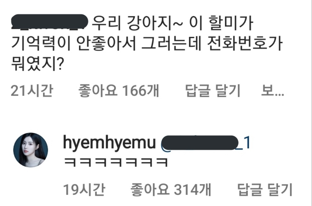 hyewon_like's tweet image. 강혜원 인스타 댓글 업데이트 
🗣 우리 강아지~ 이 할미가 기억력 안 좋아서 그러는데 전화번호가 뭐였지?
🐹 ㅋㅋㅋㅋㅋㅋㅋ
 
🗣 너 누구야!!
🐹 혬혜무