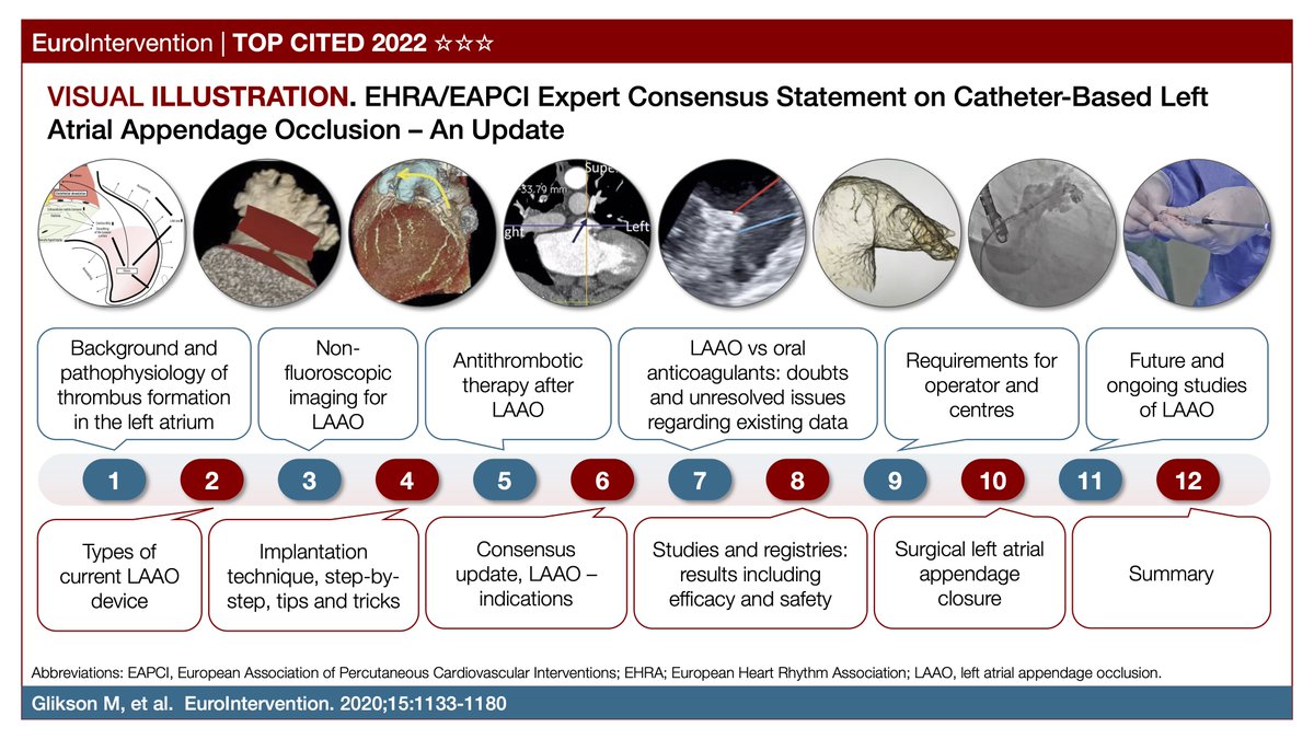 DFCapodanno's tweet photo. This EHRA/EAPCI consensus document on catheter-based left atrial appendage occlusion is made of 48 pages, 12 chapters, 1 supplement, 24 statements, 20 tables, 44 figures and 24 videos. #EIJTopCited
https://t.co/60cY1OH0gQ https://t.co/DQ9YBBu9FI
