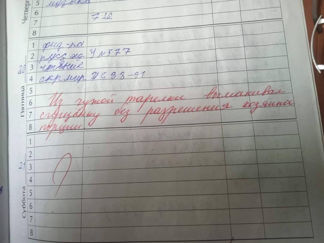 Пометки в школьных дневниках